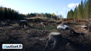 Avohakattu metsäala Suomessa